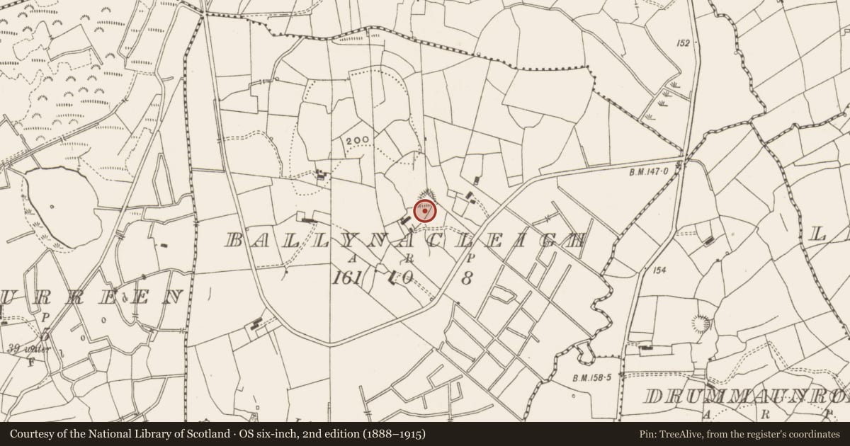 Ordnance Survey six-inch map, 2nd edition (1888–1915) covering the location of Ringfort - rath, Ballynacleigh, County Leitrim, with a pin at the register's coordinates