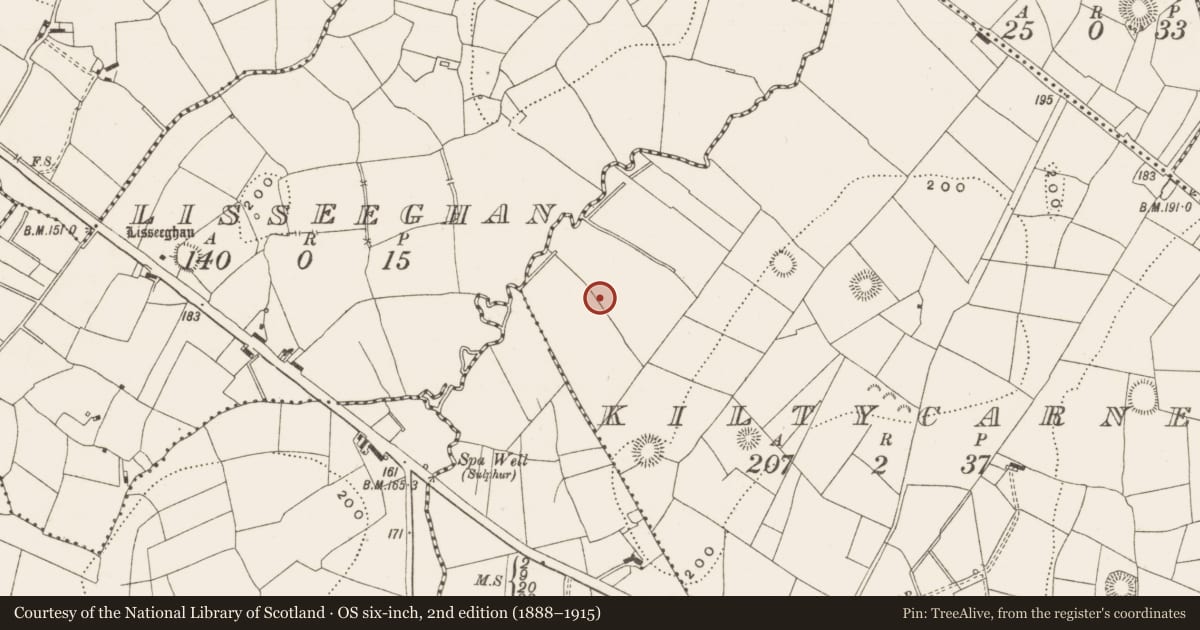 Ordnance Survey six-inch map, 2nd edition (1888–1915) covering the location of Ringfort - rath, Kiltycarney, County Leitrim, with a pin at the register's coordinates
