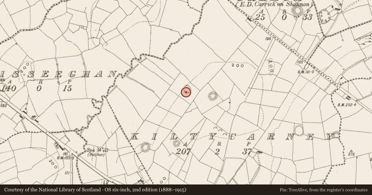 Ordnance Survey six-inch map, 2nd edition (1888–1915) covering the location of Ringfort - rath, Kiltycarney, County Leitrim, with a pin at the register's coordinates