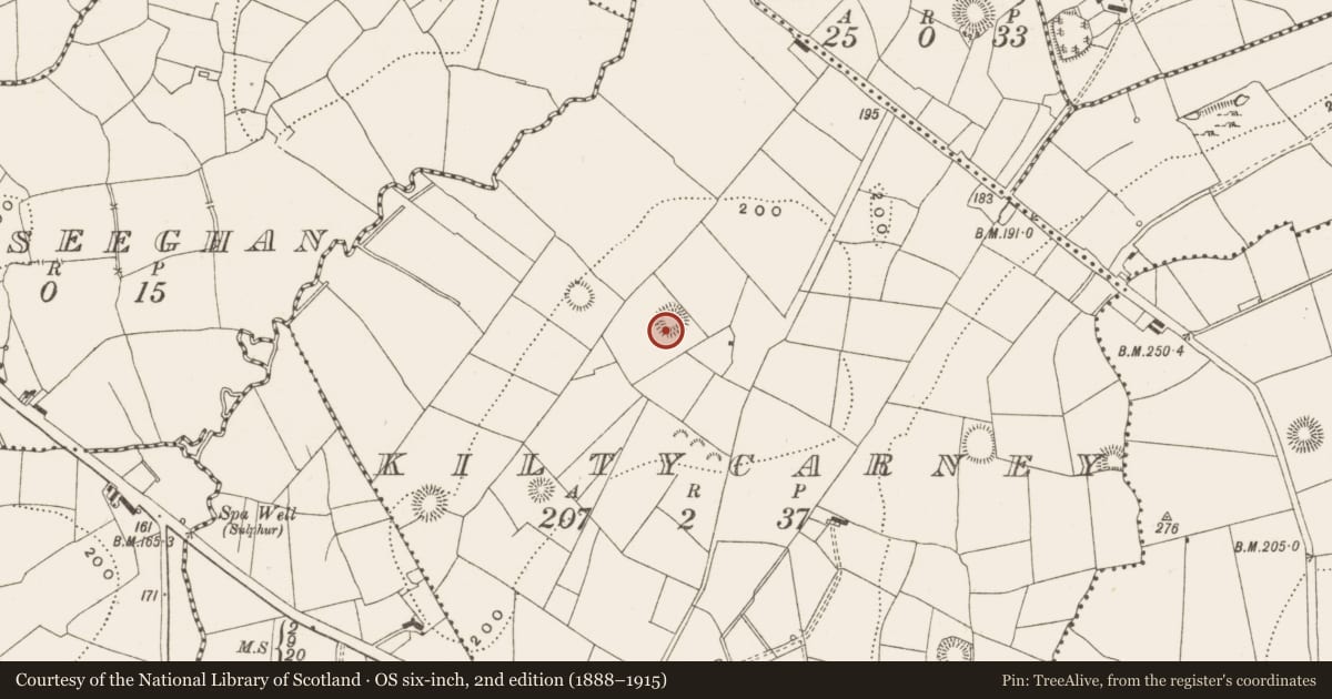 Ordnance Survey six-inch map, 2nd edition (1888–1915) covering the location of Ringfort - rath, Kiltycarney, County Leitrim, with a pin at the register's coordinates