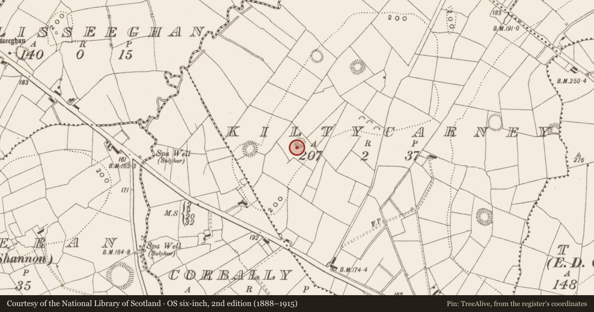 Ordnance Survey six-inch map, 2nd edition (1888–1915) covering the location of Ringfort - rath, Kiltycarney, County Leitrim, with a pin at the register's coordinates