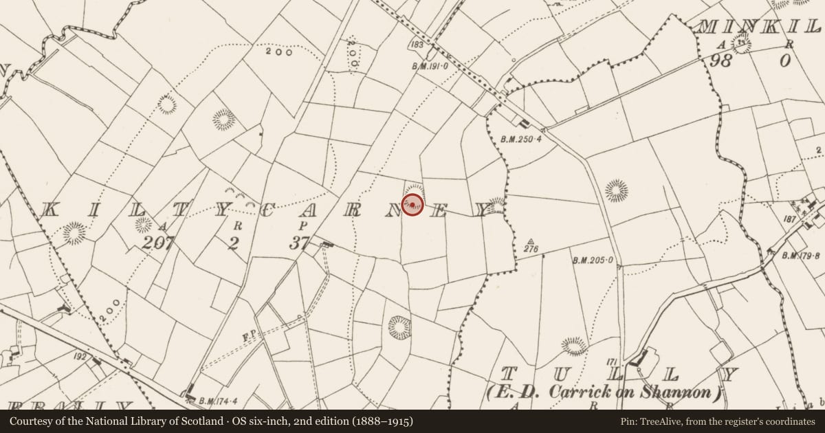 Ordnance Survey six-inch map, 2nd edition (1888–1915) covering the location of Ringfort - rath, Kiltycarney, County Leitrim, with a pin at the register's coordinates