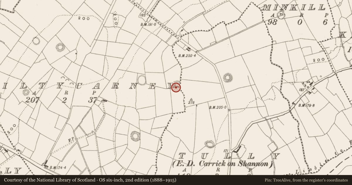 Ordnance Survey six-inch map, 2nd edition (1888–1915) covering the location of Ringfort - rath, Kiltycarney, County Leitrim, with a pin at the register's coordinates