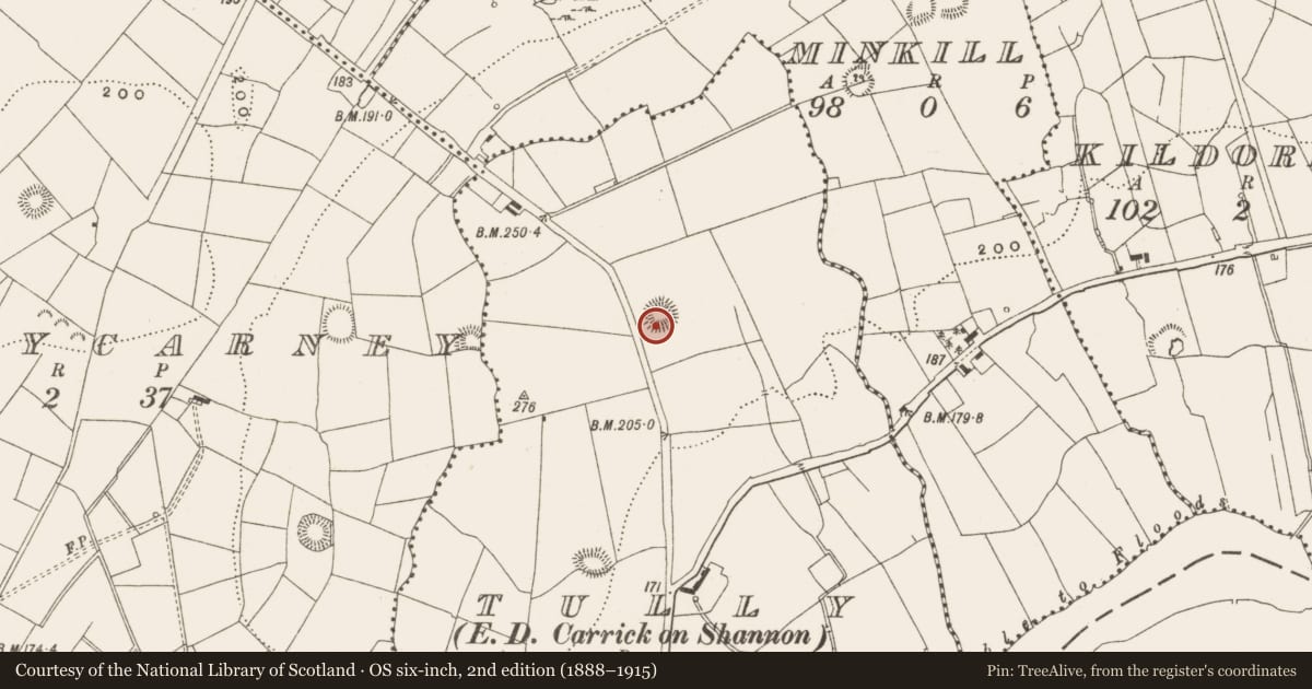 Ordnance Survey six-inch map, 2nd edition (1888–1915) covering the location of Ringfort - rath, Tully, County Leitrim, with a pin at the register's coordinates