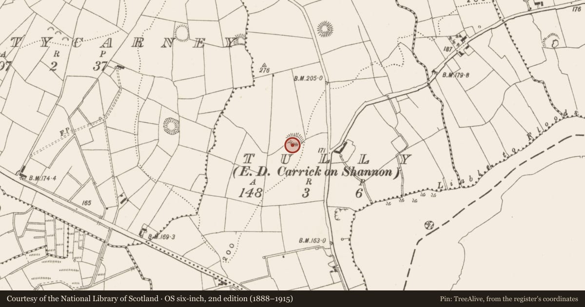 Ordnance Survey six-inch map, 2nd edition (1888–1915) covering the location of Enclosure, Tully, County Leitrim, with a pin at the register's coordinates