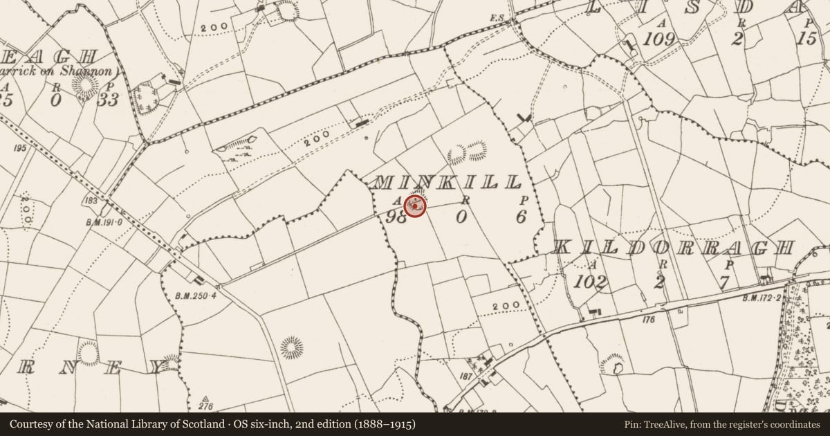 Ordnance Survey six-inch map, 2nd edition (1888–1915) covering the location of Ringfort - rath, Minkill, County Leitrim, with a pin at the register's coordinates