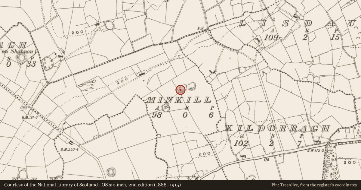 Ordnance Survey six-inch map, 2nd edition (1888–1915) covering the location of Ringfort - rath, Minkill, County Leitrim, with a pin at the register's coordinates