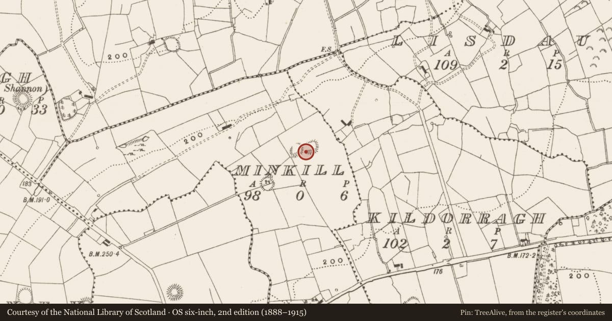 Ordnance Survey six-inch map, 2nd edition (1888–1915) covering the location of Ringfort - rath, Minkill, County Leitrim, with a pin at the register's coordinates