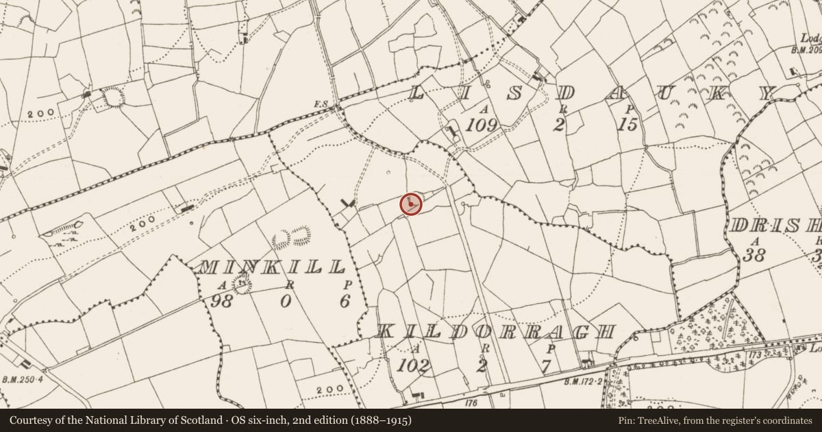 Ordnance Survey six-inch map, 2nd edition (1888–1915) covering the location of Ringfort - rath, Kildorragh, County Leitrim, with a pin at the register's coordinates