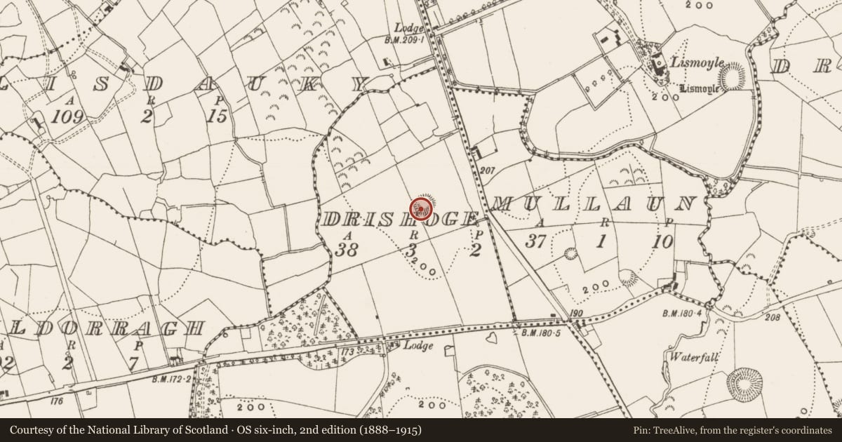 Ordnance Survey six-inch map, 2nd edition (1888–1915) covering the location of Ringfort - rath, Drishoge, County Leitrim, with a pin at the register's coordinates