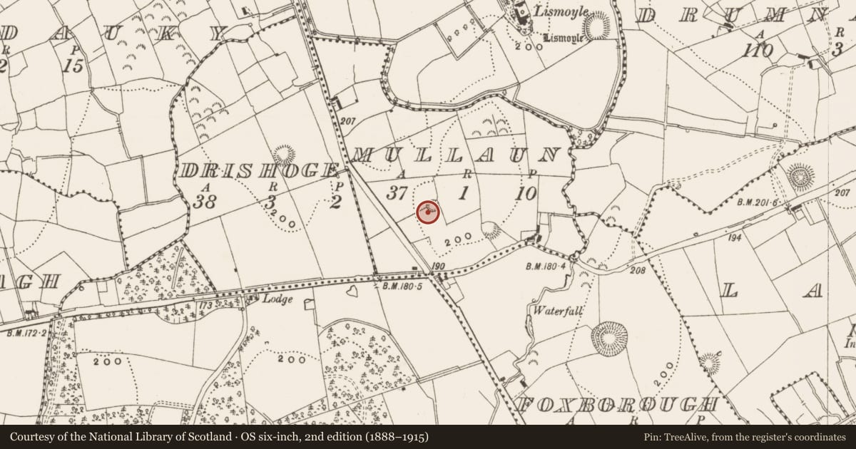 Ordnance Survey six-inch map, 2nd edition (1888–1915) covering the location of Ringfort - rath, Mullaun, County Leitrim, with a pin at the register's coordinates