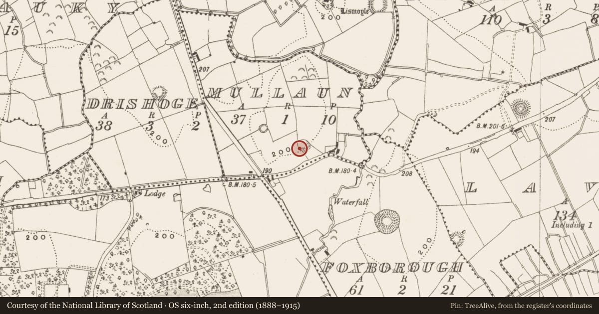 Ordnance Survey six-inch map, 2nd edition (1888–1915) covering the location of Ringfort - rath, Mullaun, County Leitrim, with a pin at the register's coordinates