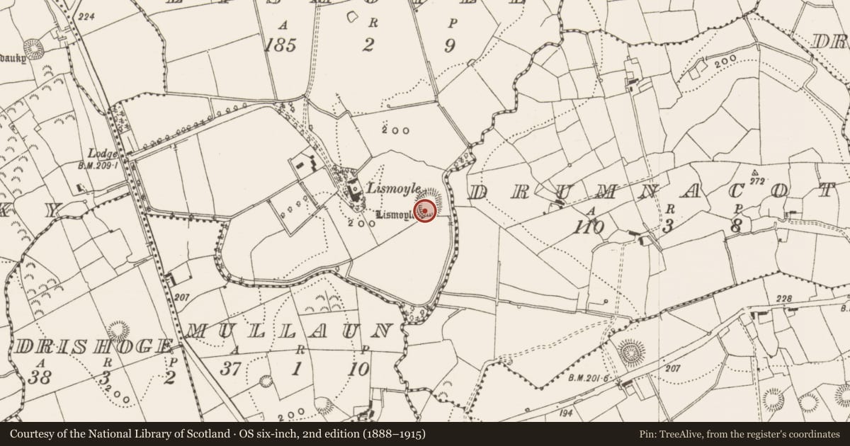 Ordnance Survey six-inch map, 2nd edition (1888–1915) covering the location of Ringfort - rath, Lismoyle, County Leitrim, with a pin at the register's coordinates