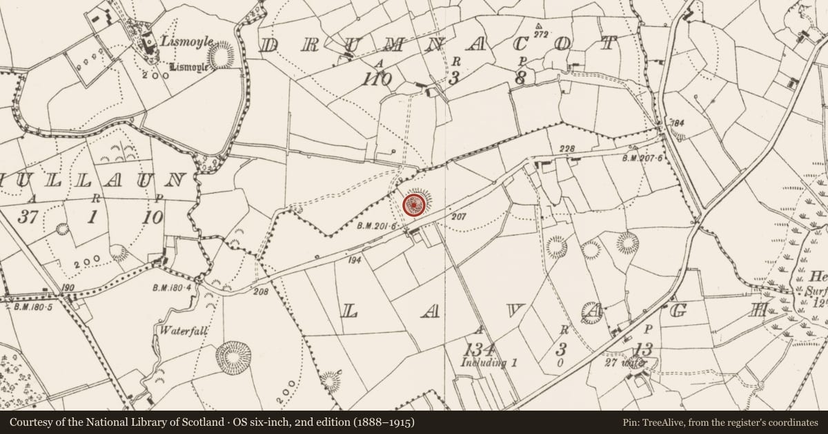 Ordnance Survey six-inch map, 2nd edition (1888–1915) covering the location of Ringfort - rath, Lavagh, County Leitrim, with a pin at the register's coordinates