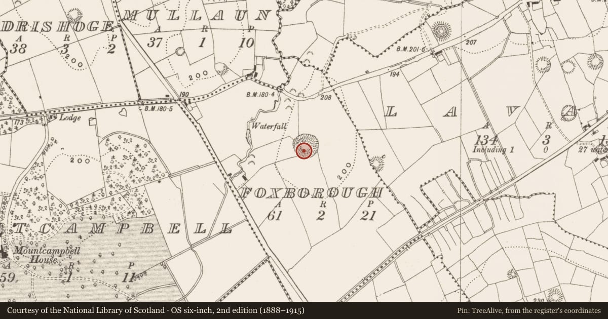 Ordnance Survey six-inch map, 2nd edition (1888–1915) covering the location of Ringfort - rath, Foxborough, County Leitrim, with a pin at the register's coordinates