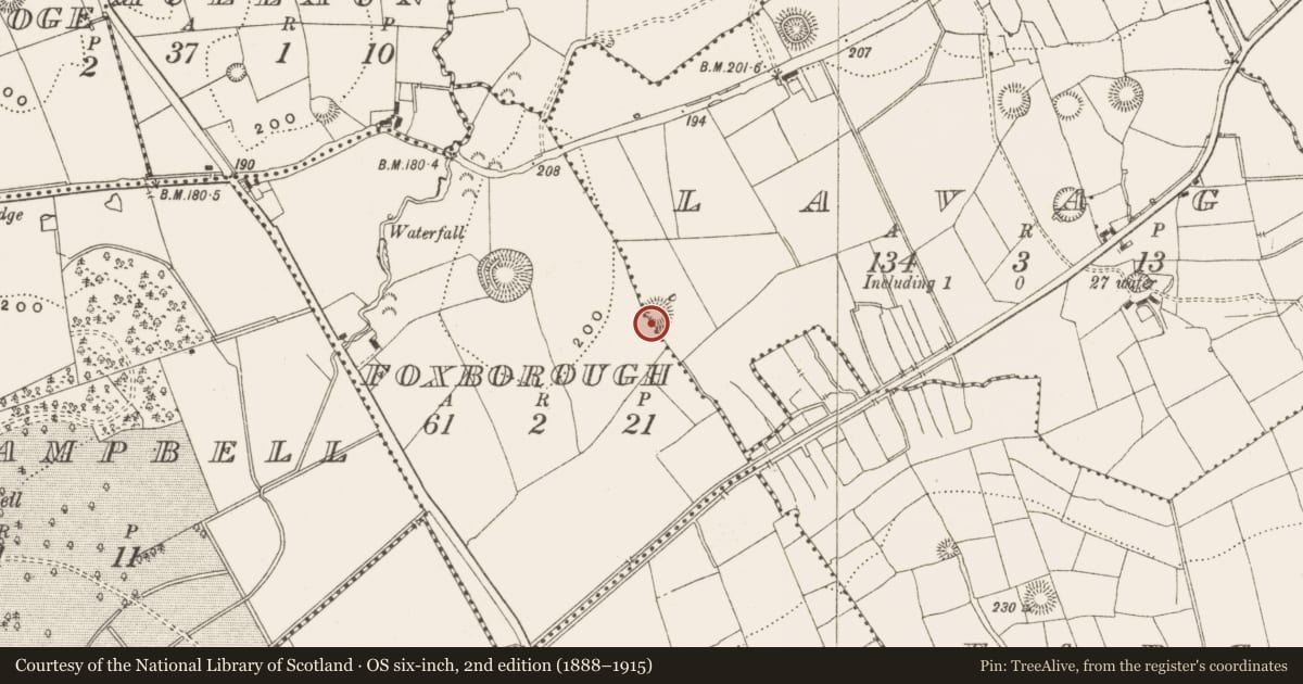 Ordnance Survey six-inch map, 2nd edition (1888–1915) covering the location of Ringfort - rath, Lavagh, County Leitrim, with a pin at the register's coordinates