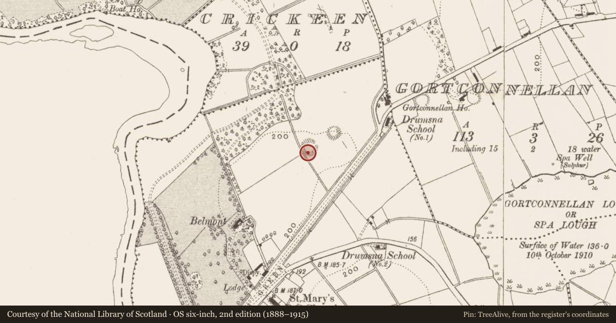 Ordnance Survey six-inch map, 2nd edition (1888–1915) covering the location of Ringfort - rath, Drumsna, County Leitrim, with a pin at the register's coordinates