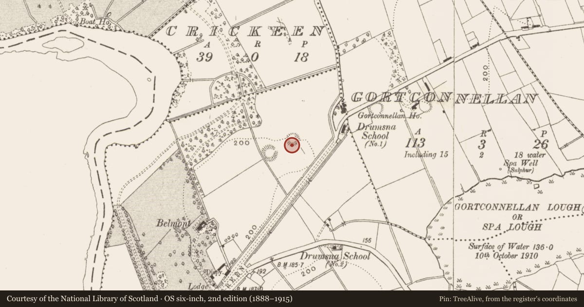 Ordnance Survey six-inch map, 2nd edition (1888–1915) covering the location of Ringfort - rath, Drumsna, County Leitrim, with a pin at the register's coordinates