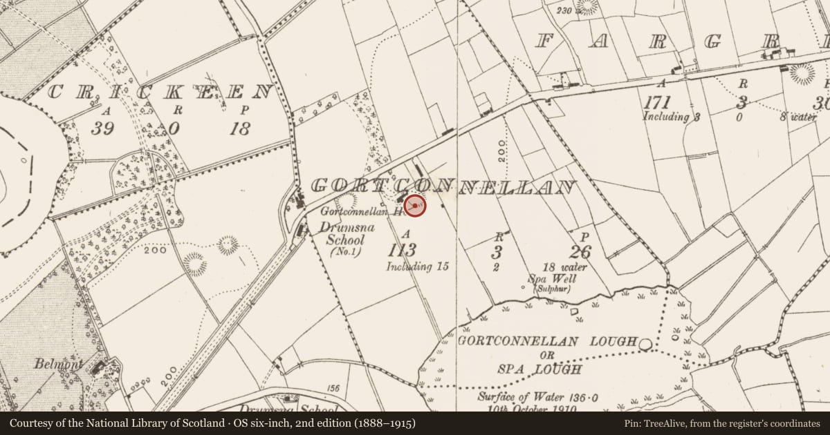 Ordnance Survey six-inch map, 2nd edition (1888–1915) covering the location of Ringfort - rath, Gortconnellan, County Leitrim, with a pin at the register's coordinates