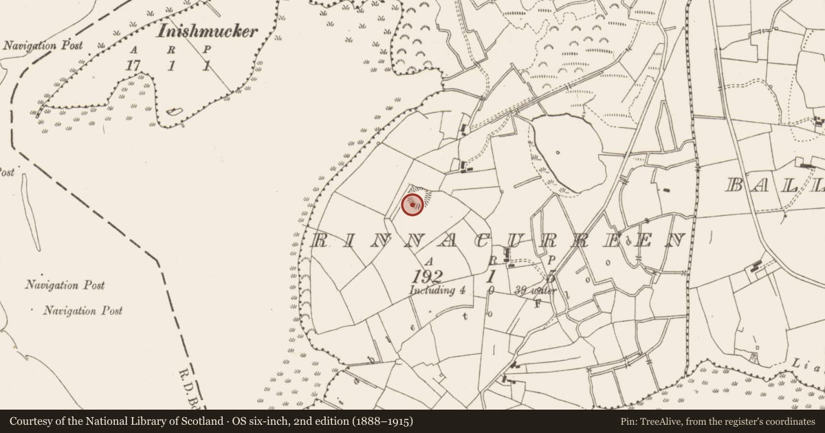 Ordnance Survey six-inch map, 2nd edition (1888–1915) covering the location of Ringfort - rath, Rinnacurreen, County Leitrim, with a pin at the register's coordinates