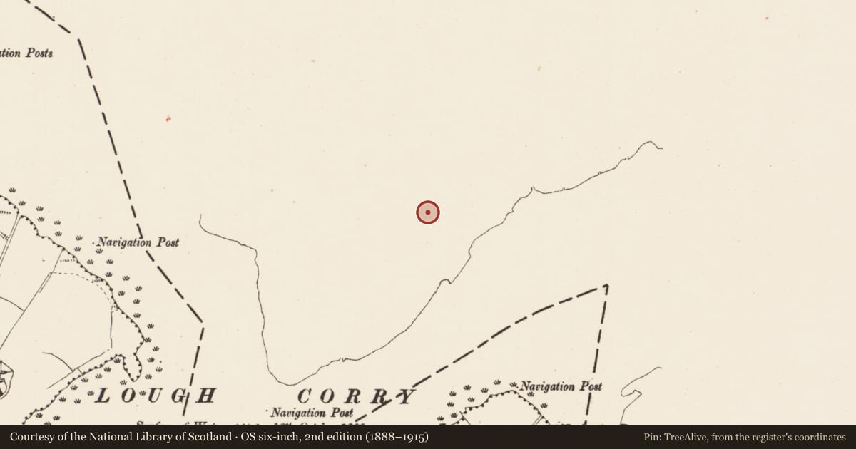 Ordnance Survey six-inch map, 2nd edition (1888–1915) covering the location of Ringfort - rath, Rinnacurreen, County Leitrim, with a pin at the register's coordinates