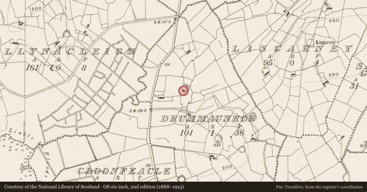 Ordnance Survey six-inch map, 2nd edition (1888–1915) covering the location of Ringfort - rath, Drummaunroe, County Leitrim, with a pin at the register's coordinates