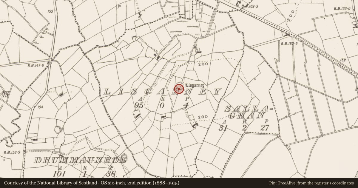 Ordnance Survey six-inch map, 2nd edition (1888–1915) covering the location of Ringfort - rath, Lisgarney, County Leitrim, with a pin at the register's coordinates