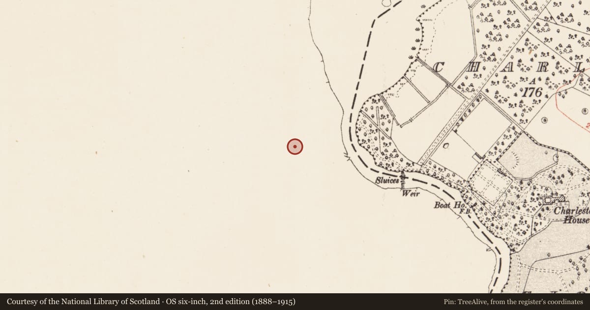 Ordnance Survey six-inch map, 2nd edition (1888–1915) covering the location of Ringfort - rath, Jamestown, County Leitrim, with a pin at the register's coordinates