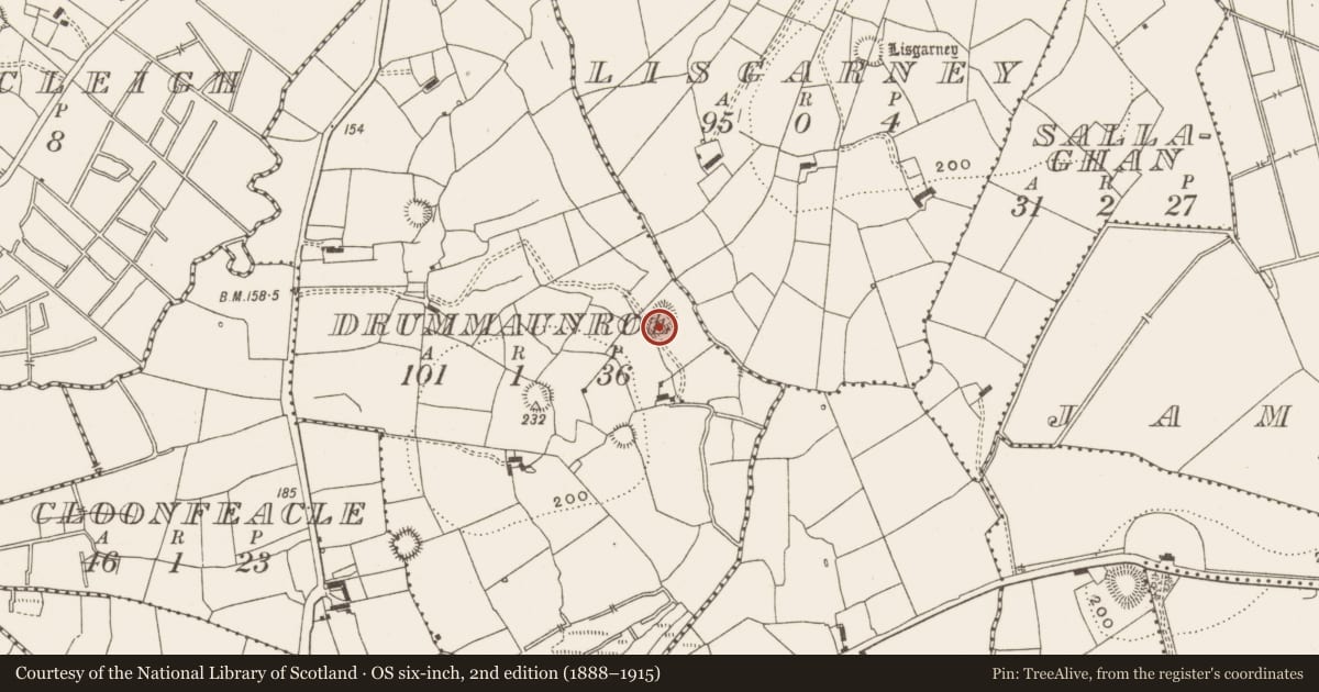 Ordnance Survey six-inch map, 2nd edition (1888–1915) covering the location of Ringfort - rath, Drummaunroe, County Leitrim, with a pin at the register's coordinates