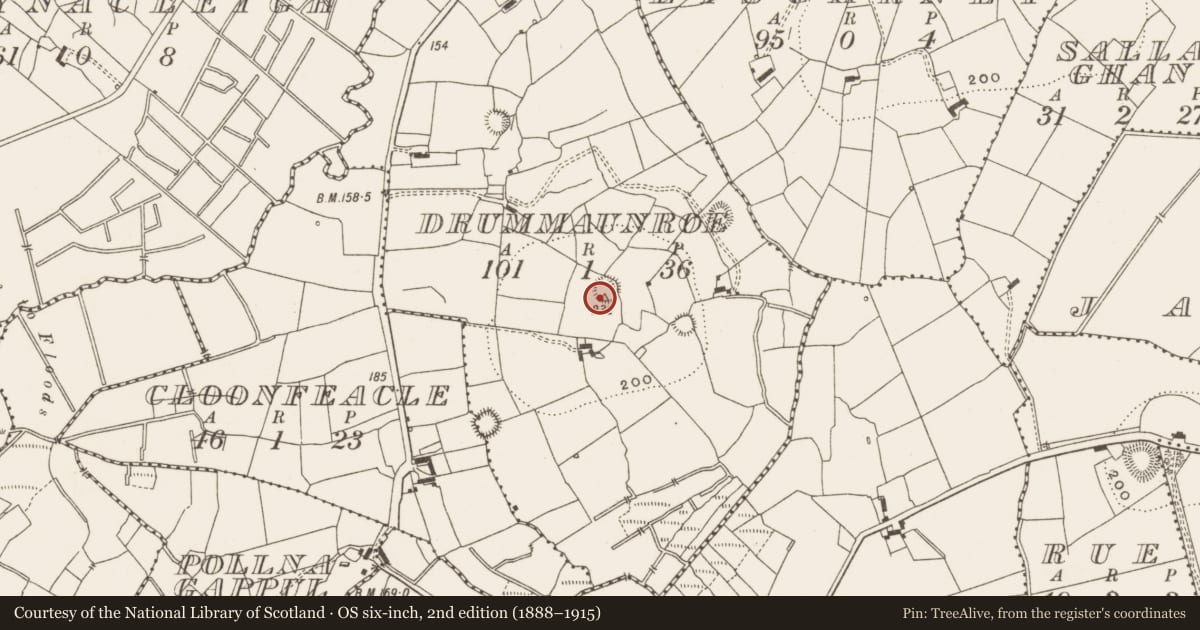 Ordnance Survey six-inch map, 2nd edition (1888–1915) covering the location of Ringfort - rath, Drummaunroe, County Leitrim, with a pin at the register's coordinates