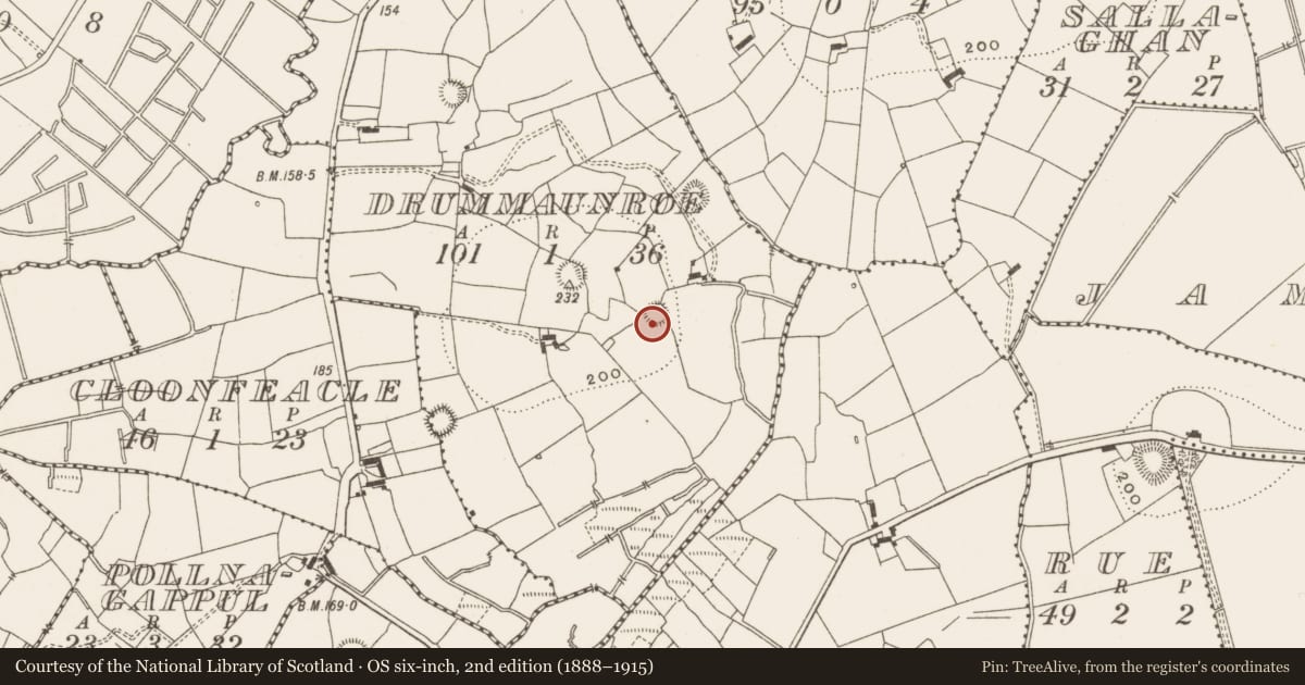 Ordnance Survey six-inch map, 2nd edition (1888–1915) covering the location of Ringfort - rath, Drummaunroe, County Leitrim, with a pin at the register's coordinates