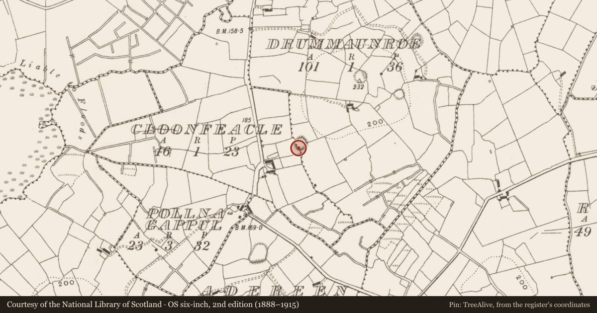 Ordnance Survey six-inch map, 2nd edition (1888–1915) covering the location of Ringfort - rath, Drummaunroe, County Leitrim, with a pin at the register's coordinates