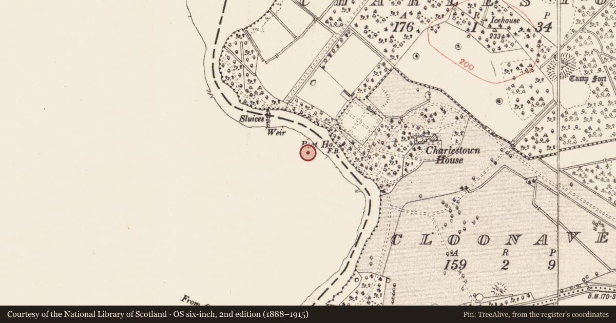Ordnance Survey six-inch map, 2nd edition (1888–1915) covering the location of Graveyard, Jamestown, County Leitrim, with a pin at the register's coordinates