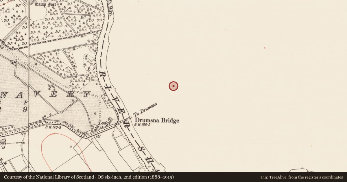 Ordnance Survey six-inch map, 2nd edition (1888–1915) covering the location of Ringfort - rath, Drumsna, County Leitrim, with a pin at the register's coordinates