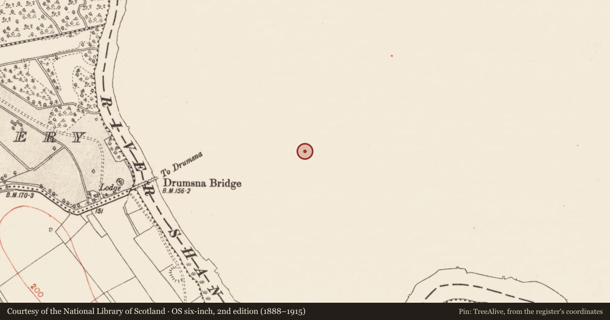 Ordnance Survey six-inch map, 2nd edition (1888–1915) covering the location of Ringfort - rath, Drumsna, County Leitrim, with a pin at the register's coordinates