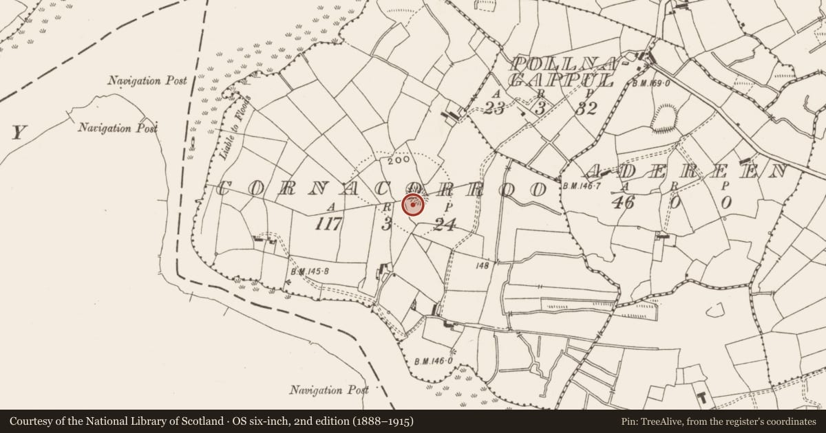Ordnance Survey six-inch map, 2nd edition (1888–1915) covering the location of Ringfort - rath, Cornacorroo, County Leitrim, with a pin at the register's coordinates