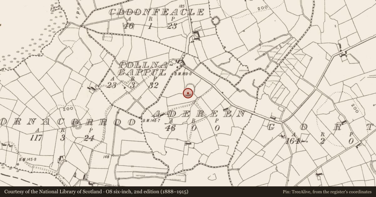 Ordnance Survey six-inch map, 2nd edition (1888–1915) covering the location of Ringfort - rath, Adereen, County Leitrim, with a pin at the register's coordinates