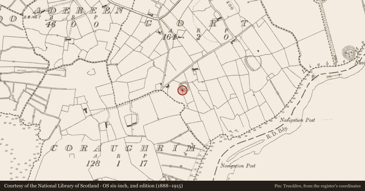 Ordnance Survey six-inch map, 2nd edition (1888–1915) covering the location of Ringfort - rath, Gort, County Leitrim, with a pin at the register's coordinates