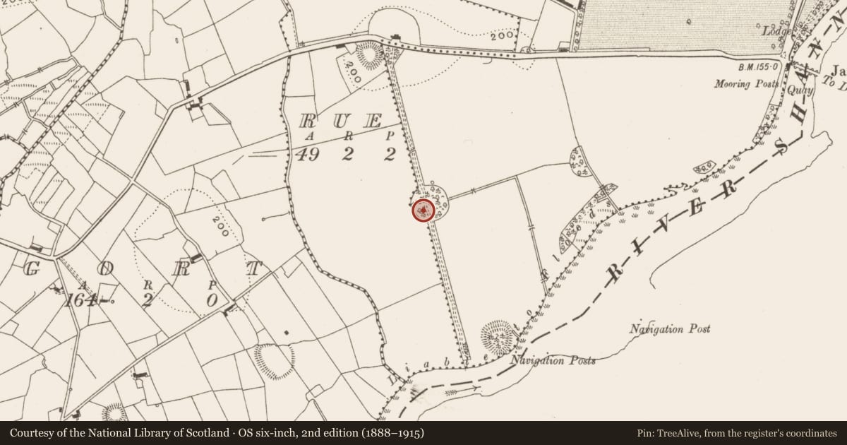 Ordnance Survey six-inch map, 2nd edition (1888–1915) covering the location of Designed landscape - tree-ring, Jamestown, Rue, County Leitrim, with a pin at the register's coordinates