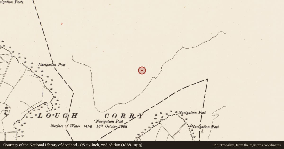 Ordnance Survey six-inch map, 2nd edition (1888–1915) covering the location of Enclosure, Rinnacurreen, County Leitrim, with a pin at the register's coordinates