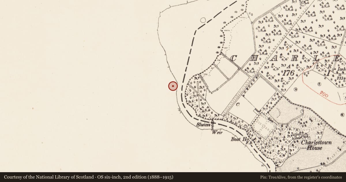 Ordnance Survey six-inch map, 2nd edition (1888–1915) covering the location of Ringfort - rath, Tully, County Leitrim, with a pin at the register's coordinates