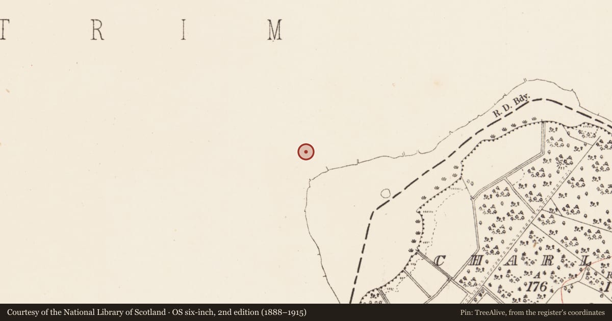 Ordnance Survey six-inch map, 2nd edition (1888–1915) covering the location of Fulacht fia, Tully, County Leitrim, with a pin at the register's coordinates
