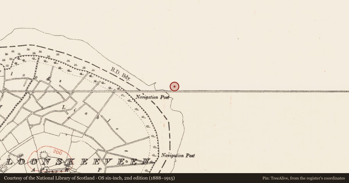Ordnance Survey six-inch map, 2nd edition (1888–1915) covering the location of Ringfort - rath, Townparks, County Leitrim, with a pin at the register's coordinates