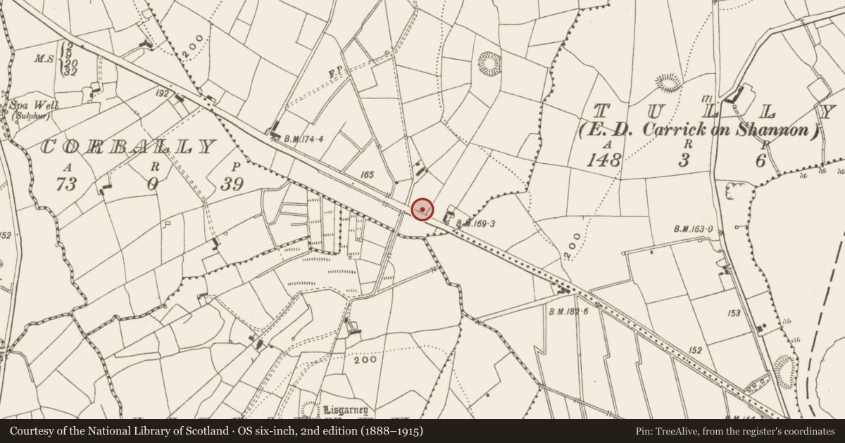 Ordnance Survey six-inch map, 2nd edition (1888–1915) covering the location of Fulacht fia, Kiltycarney, County Leitrim, with a pin at the register's coordinates