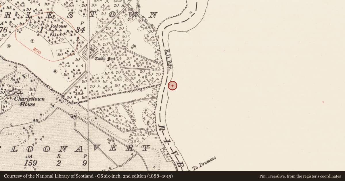 Ordnance Survey six-inch map, 2nd edition (1888–1915) covering the location of Ringfort - rath, Drumsna, County Leitrim, with a pin at the register's coordinates