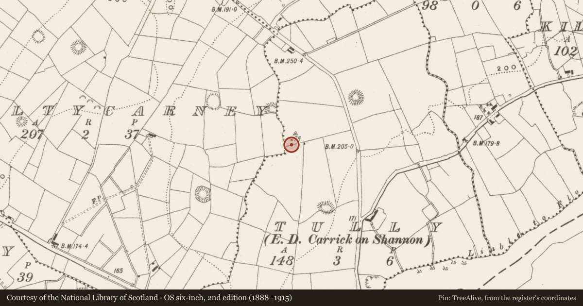 Ordnance Survey six-inch map, 2nd edition (1888–1915) covering the location of Ringfort - rath, Tully, County Leitrim, with a pin at the register's coordinates