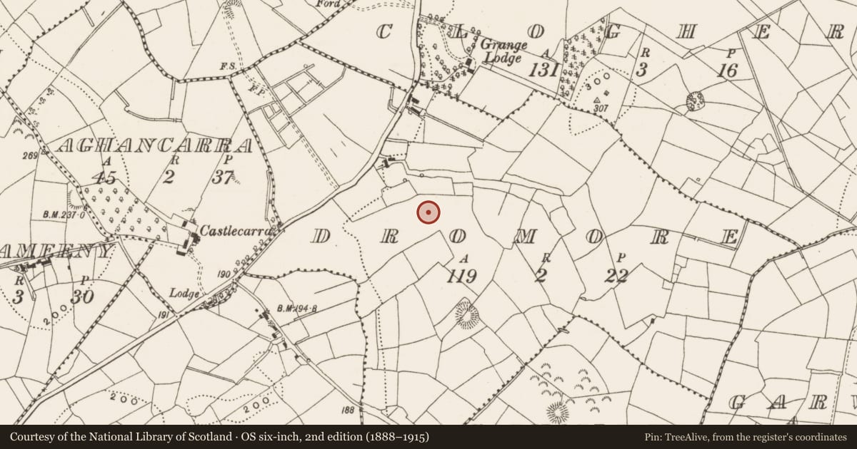 Ordnance Survey six-inch map, 2nd edition (1888–1915) covering the location of Ringfort - rath, Dromore, County Leitrim, with a pin at the register's coordinates