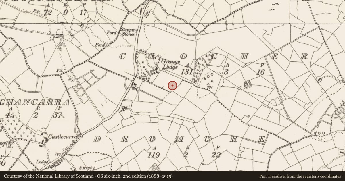 Ordnance Survey six-inch map, 2nd edition (1888–1915) covering the location of Enclosure, Clogher, Dromore, County Leitrim, with a pin at the register's coordinates