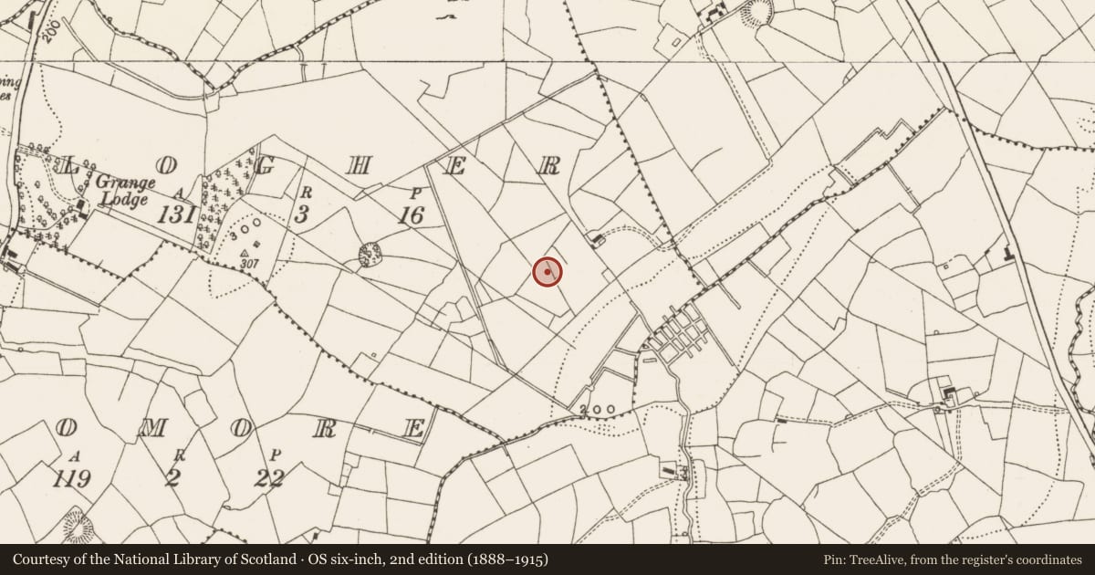 Ordnance Survey six-inch map, 2nd edition (1888–1915) covering the location of Enclosure, Clogher, County Leitrim, with a pin at the register's coordinates