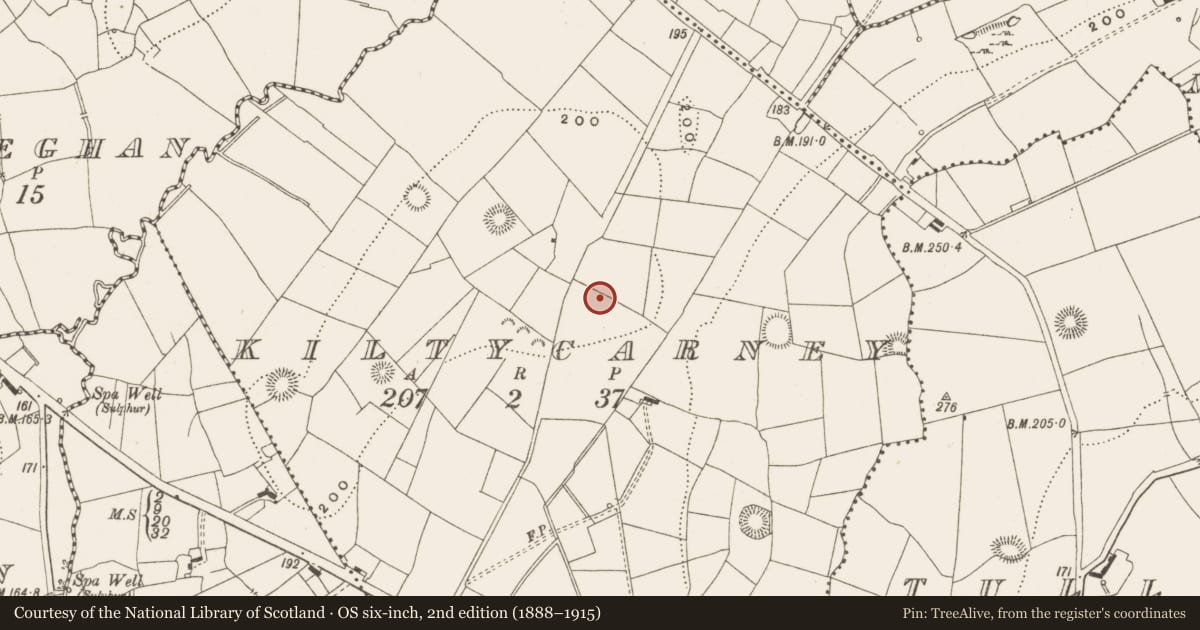 Ordnance Survey six-inch map, 2nd edition (1888–1915) covering the location of Ringfort - rath, Kiltycarney, County Leitrim, with a pin at the register's coordinates